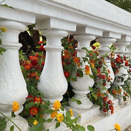 Beautiful Garden Apartment Steps From The Beach Menton Eksteriør bilde